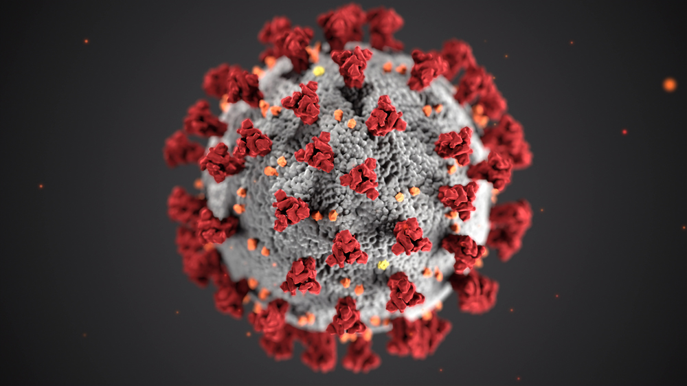 Updates Corona Virus