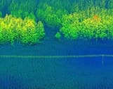 Hochauflösender LIDAR Scan einer Stromtrasse neben einem Wald
